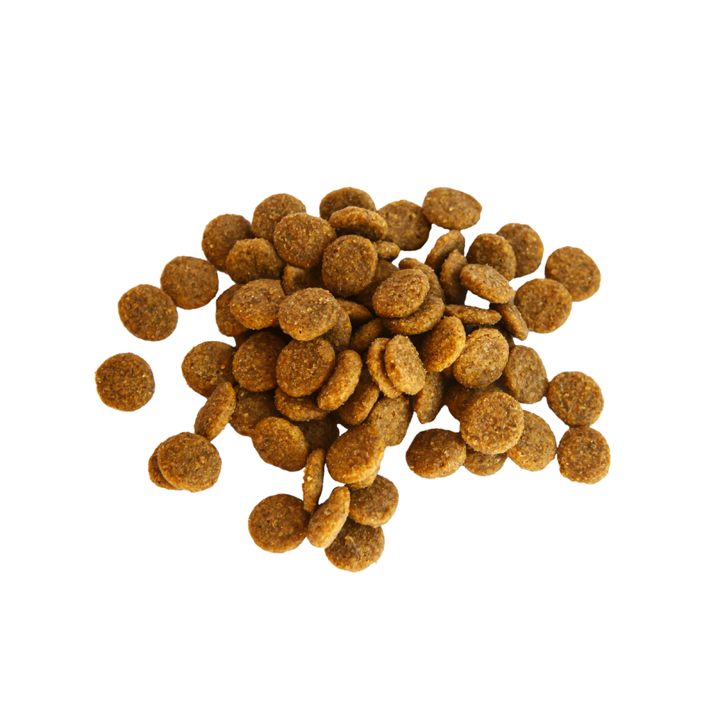 A pile of dry dog food kibble