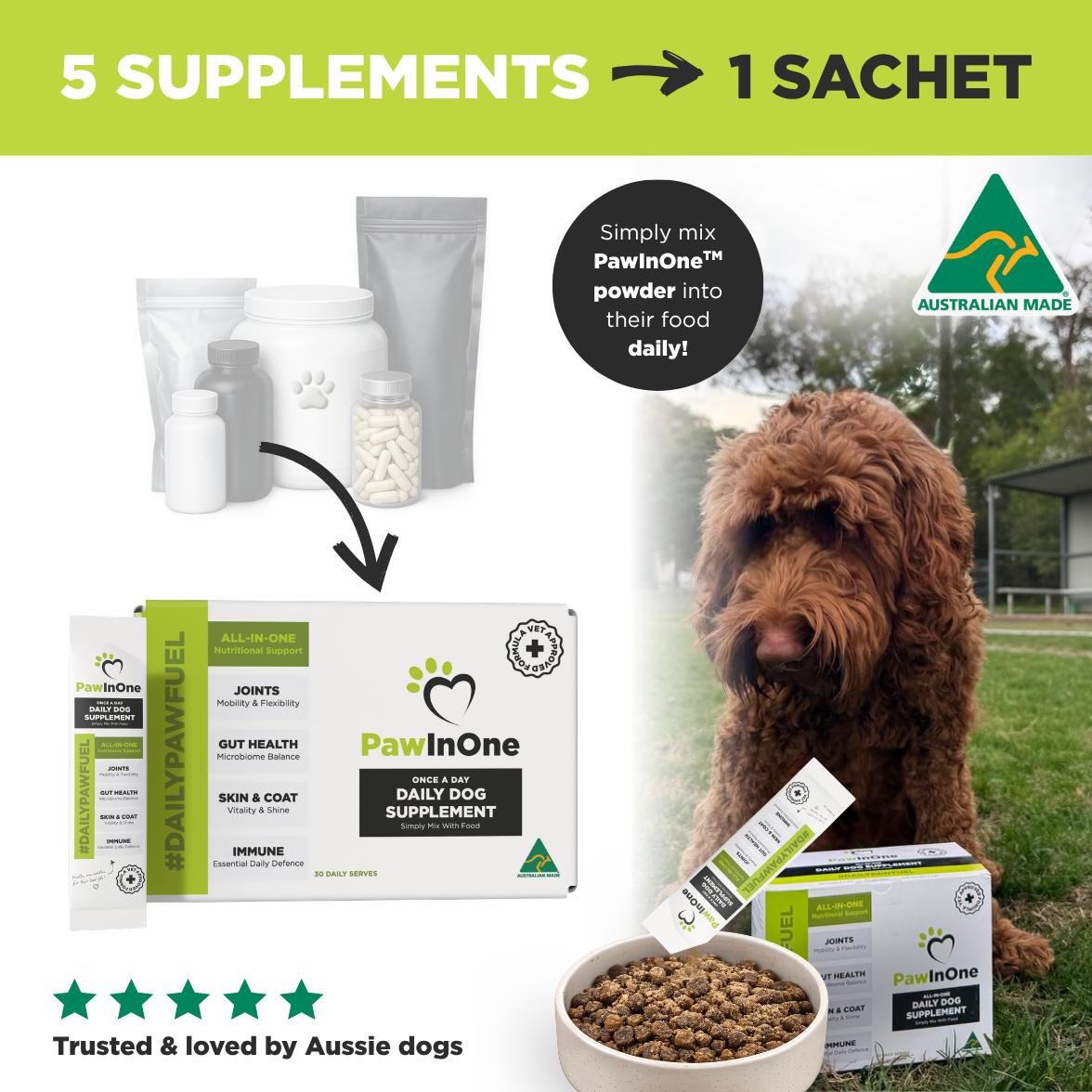 All-In-One Daily Dog Supplement