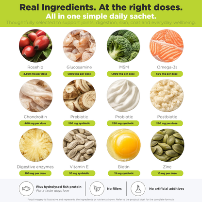 All-In-One Daily Dog Supplement