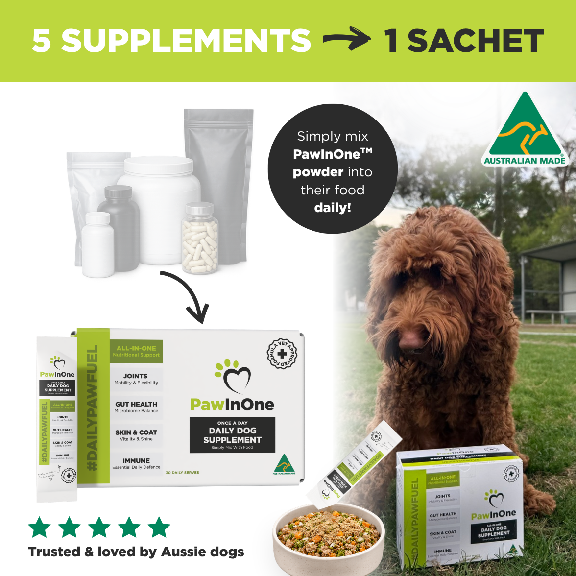 All-In-One Daily Dog Supplement