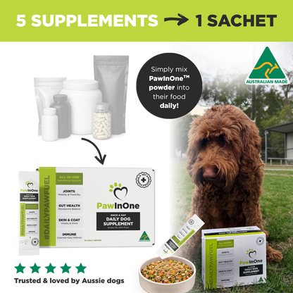 All-In-One Daily Dog Supplement