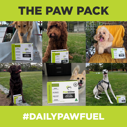 All-In-One Daily Dog Supplement