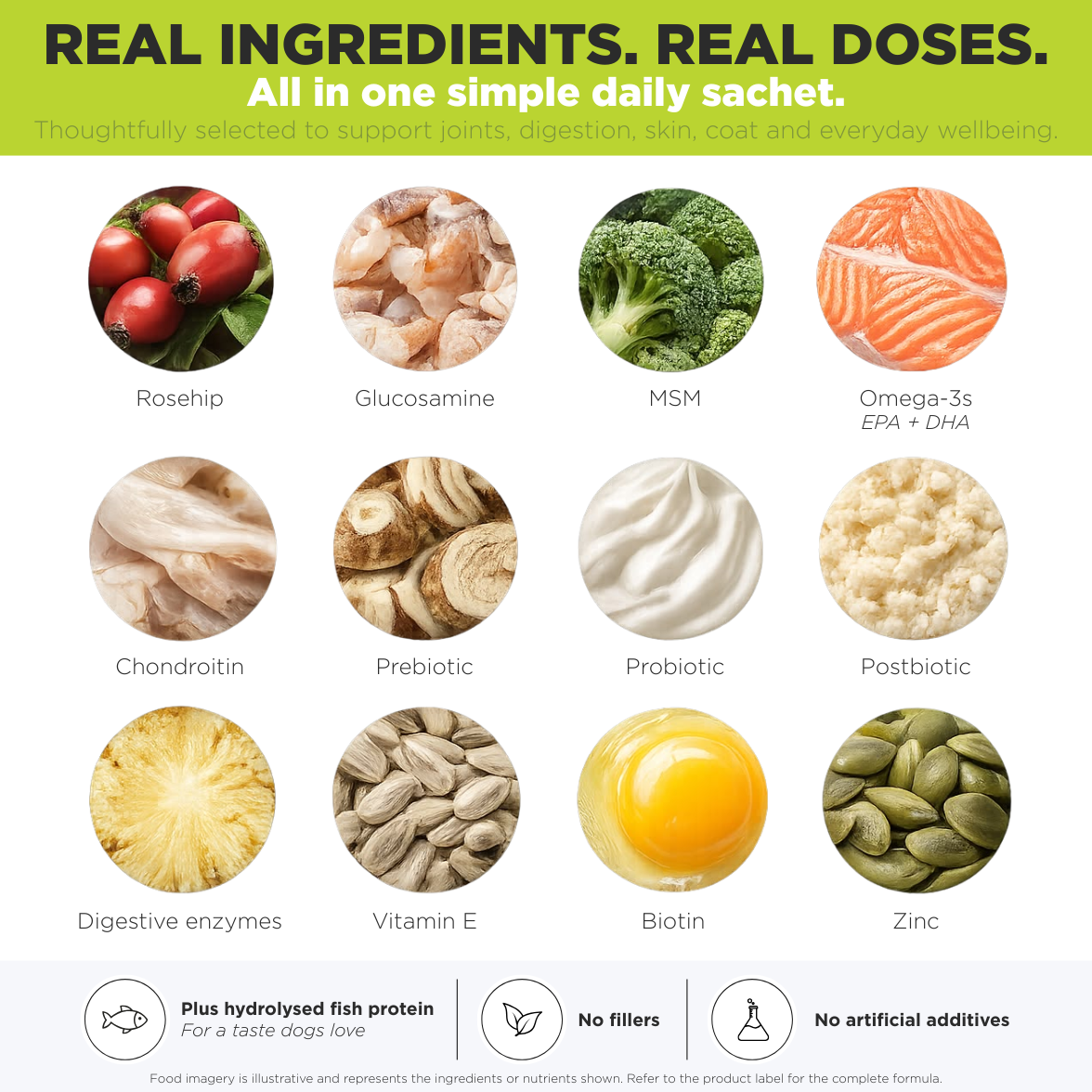 All-In-One Daily Dog Supplement