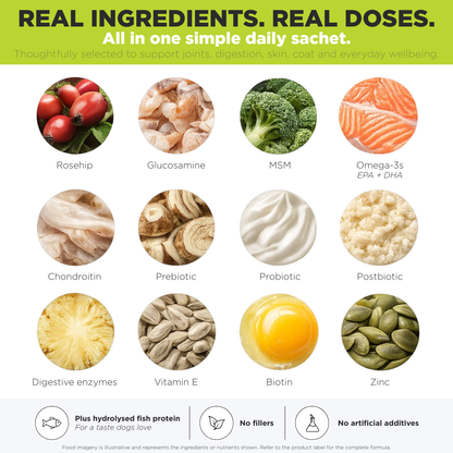 All-In-One Daily Dog Supplement